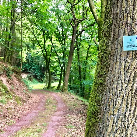 Apartment Auszeit-eifel *