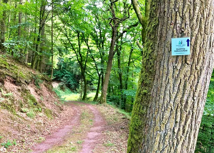 Apartamento Auszeit-eifel *